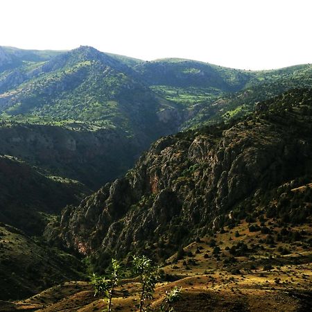 Ecolodge In Wildlife Refuge Urts'adzor エクステリア 写真