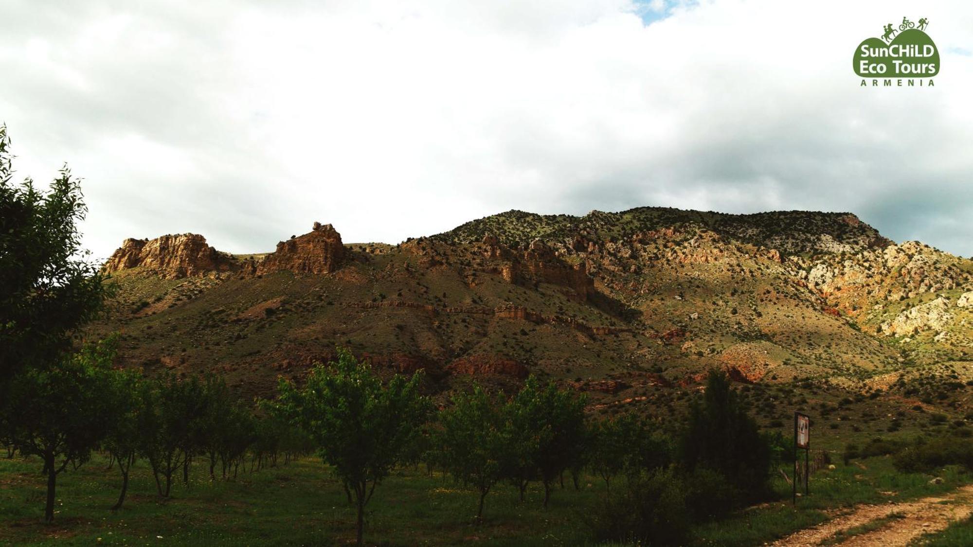 Ecolodge In Wildlife Refuge Urts'adzor エクステリア 写真